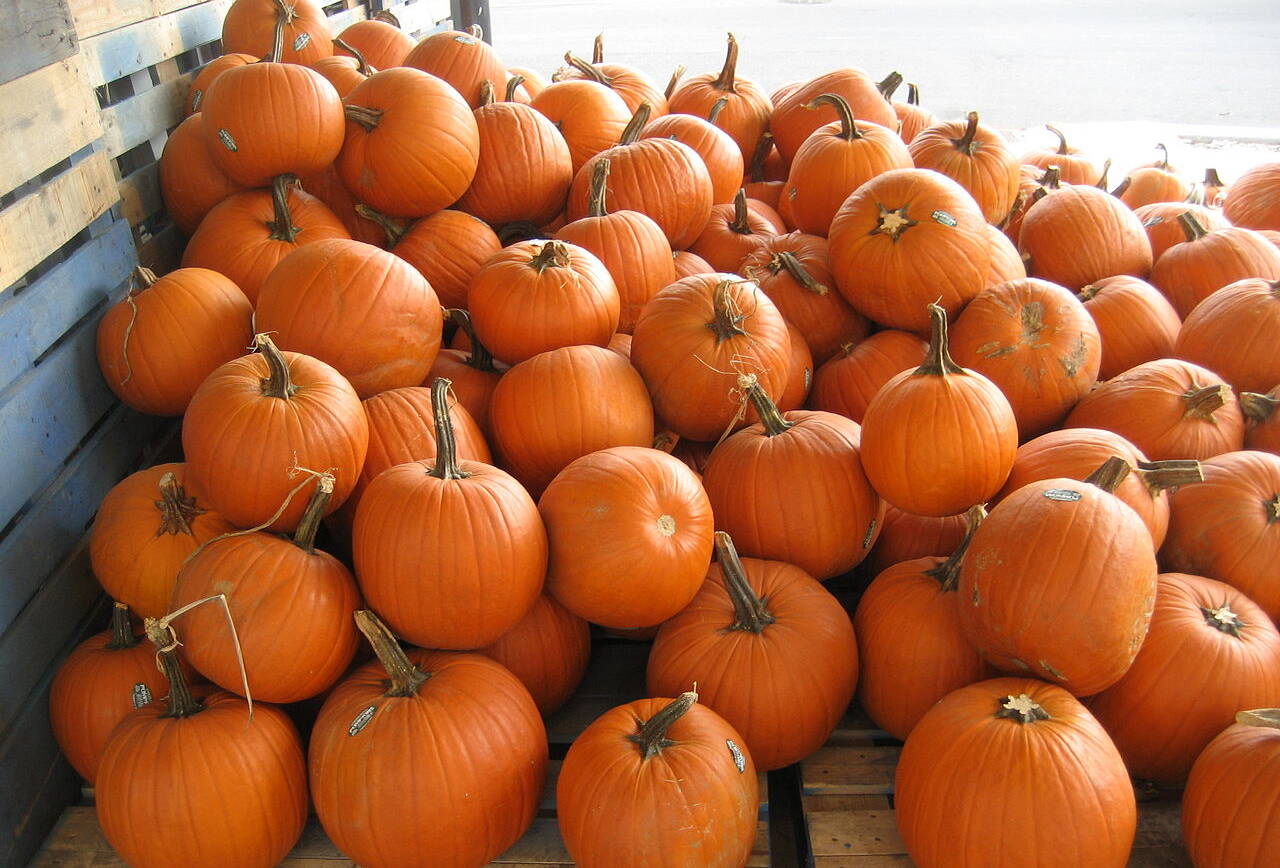 Pumpkin Carving/Arts & Crafts