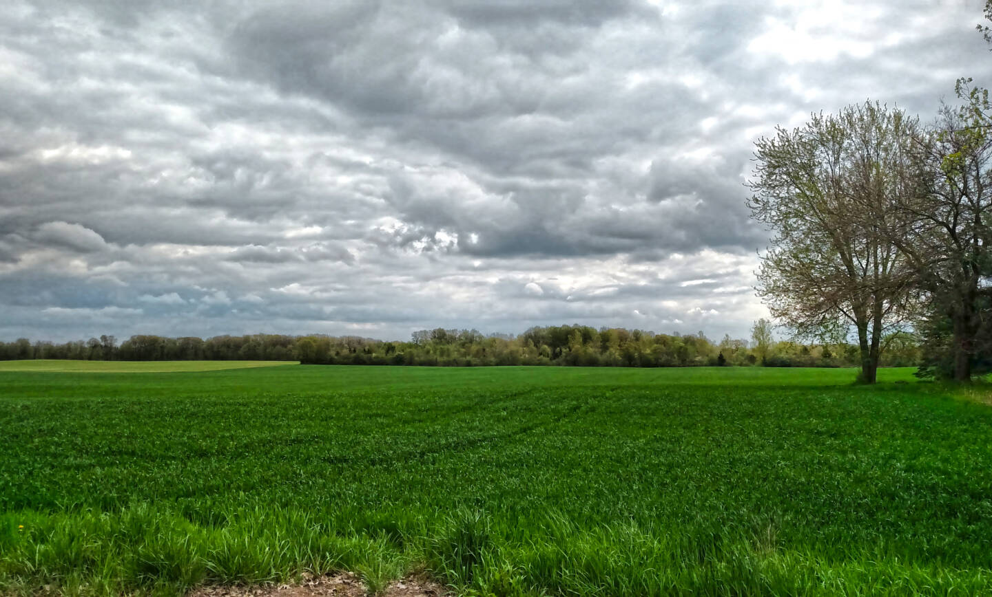 Notice of Public Reading Marijuana Ordinance