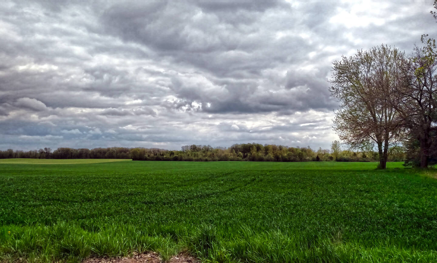 Weatherization Assistance Program