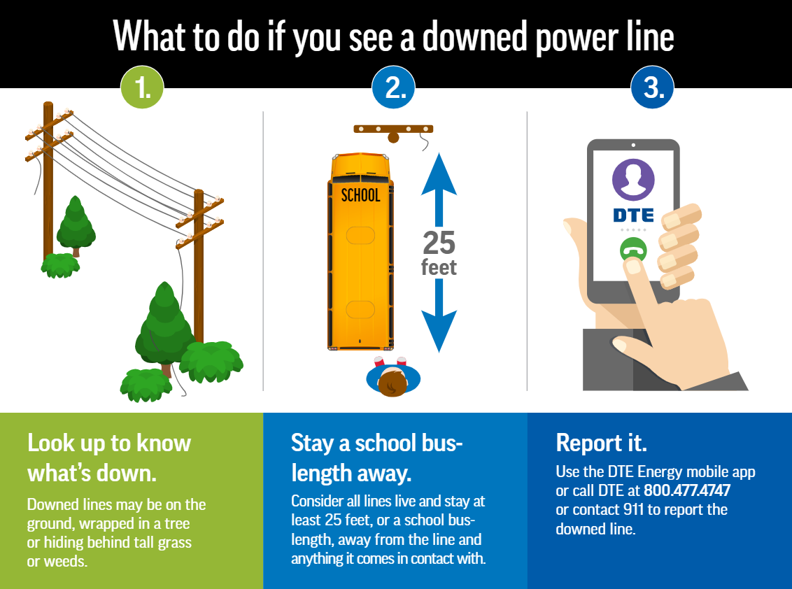 What-to-do-if-you-see-a-downed-power-line.png