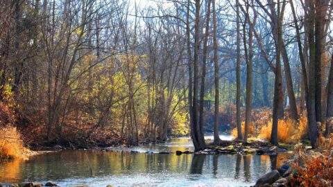 parker mill photo